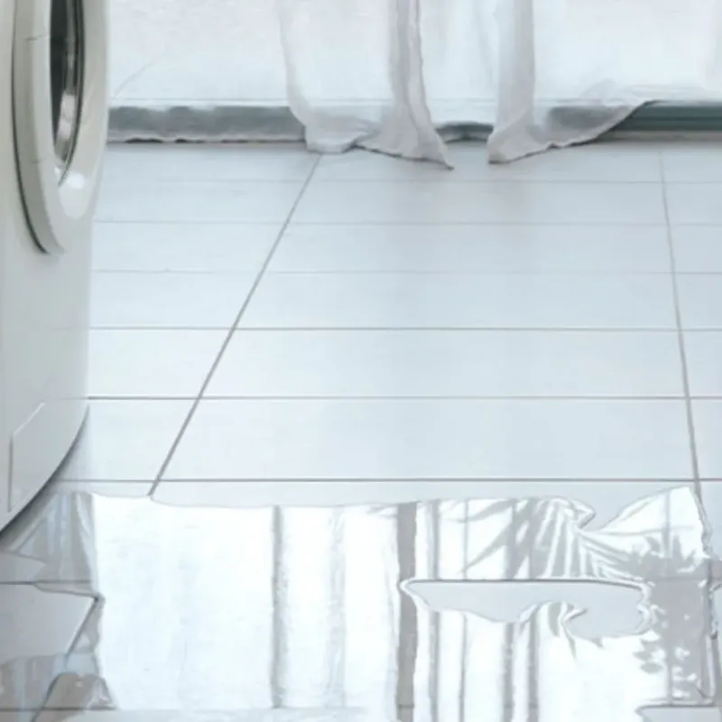 Appliance Leak Cleanup in Laurel, MT