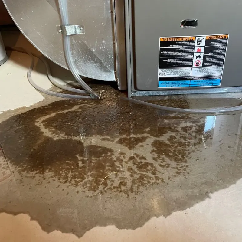 Pipe Burst and Leak Restoration in Laurel, MT